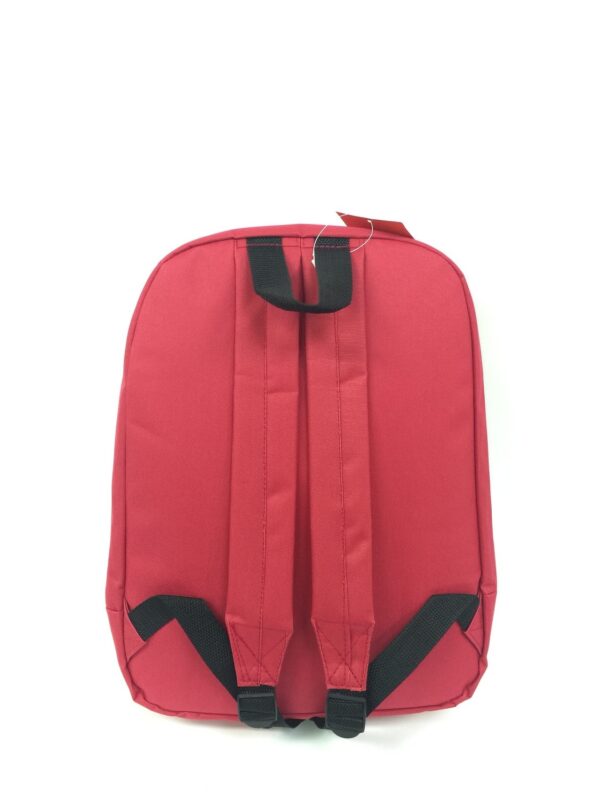 Mochila de emergencias para insumos médicos - Imagen 3